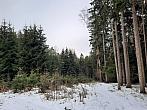 Olešná-Hatě