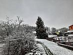 Olešná