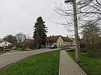 Třibřichy