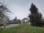 Olešná