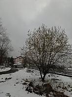 Skalité
