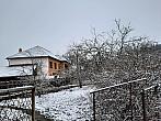 Olešná