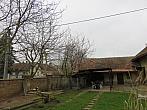 Třibřichy