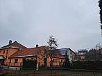 Olešná