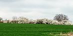 Lukovany