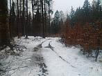 Studánka