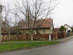 Třibřichy