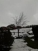 Skalité