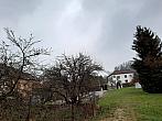 Olešná