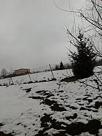 Skalité