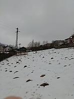 Skalité