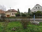 Třibřichy