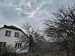 Olešná