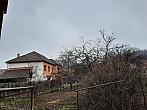 Olešná