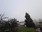 Olešná