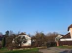 Olešná