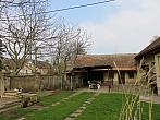 Třibřichy