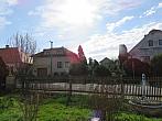 Třibřichy