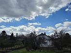 Olešná