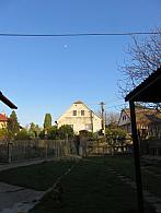 Třibřichy