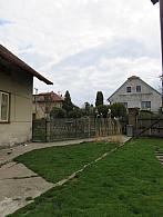 Třibřichy