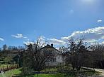 Olešná