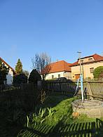Třibřichy