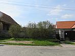 Třibřichy
