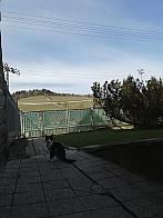 Skalité