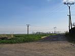 Třibřichy