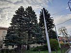 Jihlava