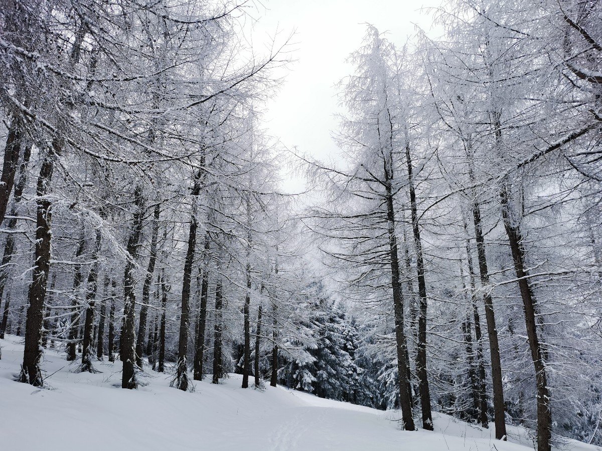 Fichtelberg