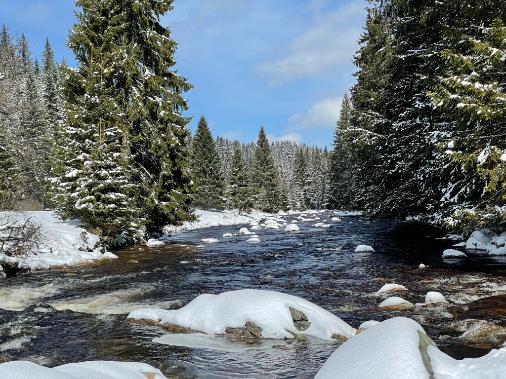 Modrava