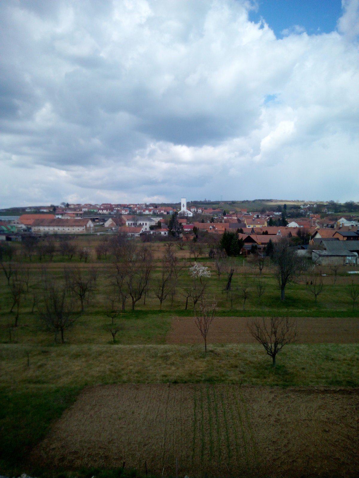 Žádovice
