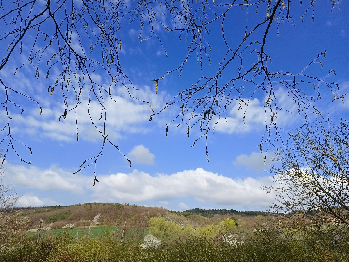 Habrovany