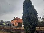 Olešná
