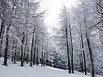 Fichtelberg