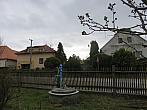Třibřichy