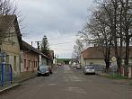 Třibřichy