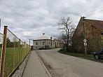 Třibřichy