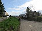 Třibřichy