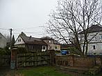Třibřichy