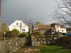 Třibřichy