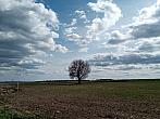 Lukovany