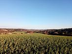 Lukovany