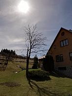 Skalité
