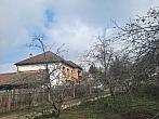 Olešná