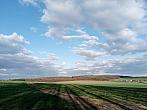 Lukovany