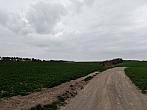Lukovany
