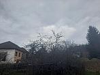 Olešná